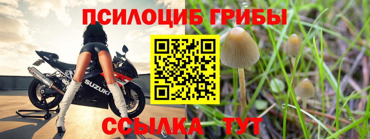 Полевской  Псилоцибиновые грибы мицелий  Галлюциногенные грибы Magic Shrooms  Вход с VPN 