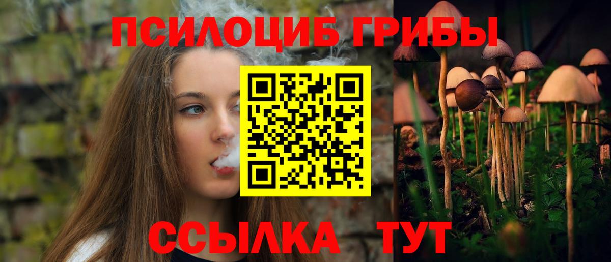 Галлюциногенные грибы Psilocybine cubensis Полевской